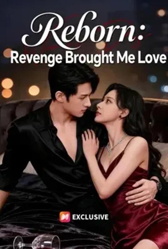Reborn- Revenge Brought Me Love poster