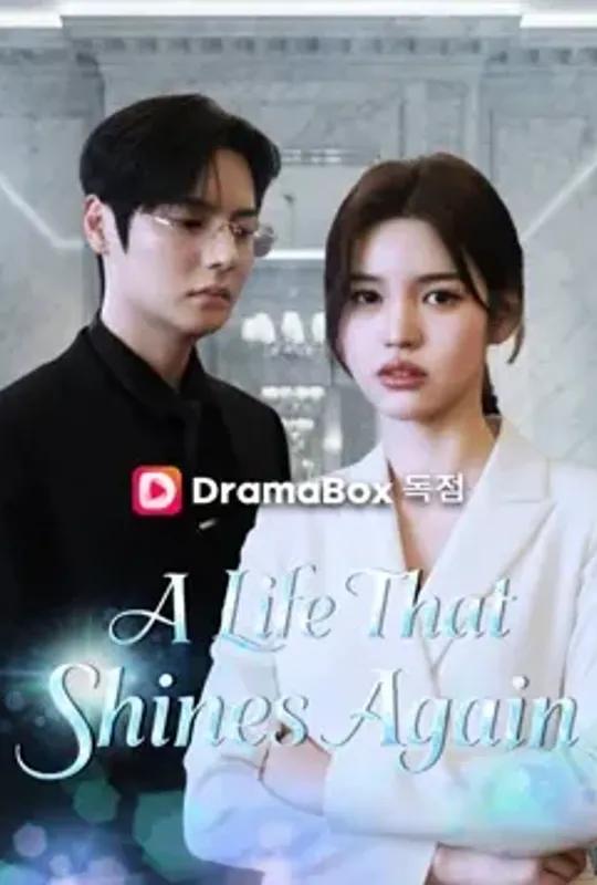 A Life That Shines Again poster