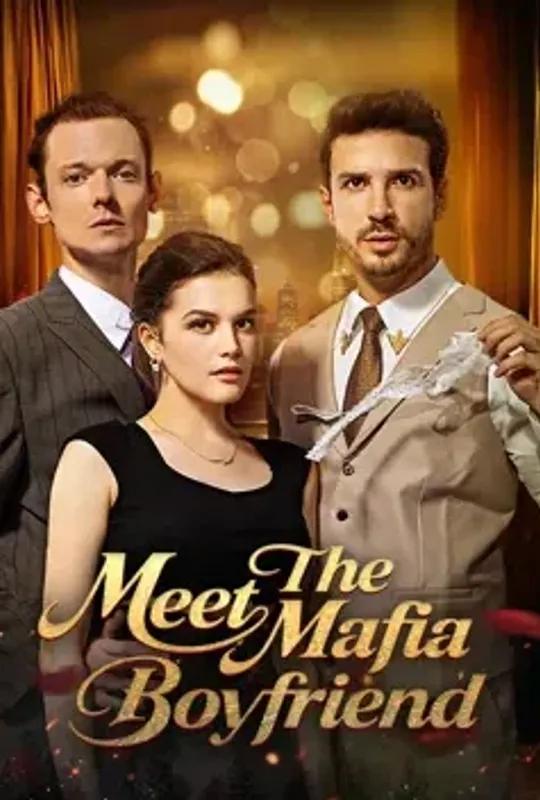 Meet The Mafia Boyfriend poster