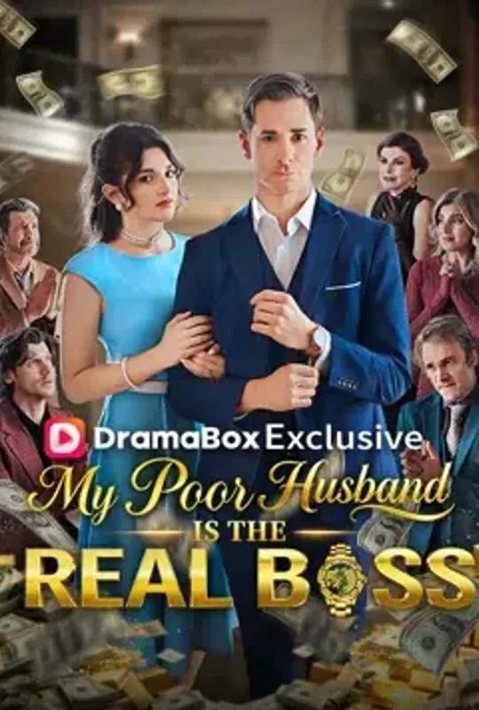 My Poor Husband is the Real Boss poster