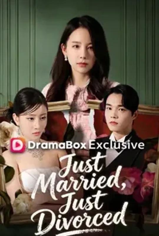 Just Married, Just Divorced poster