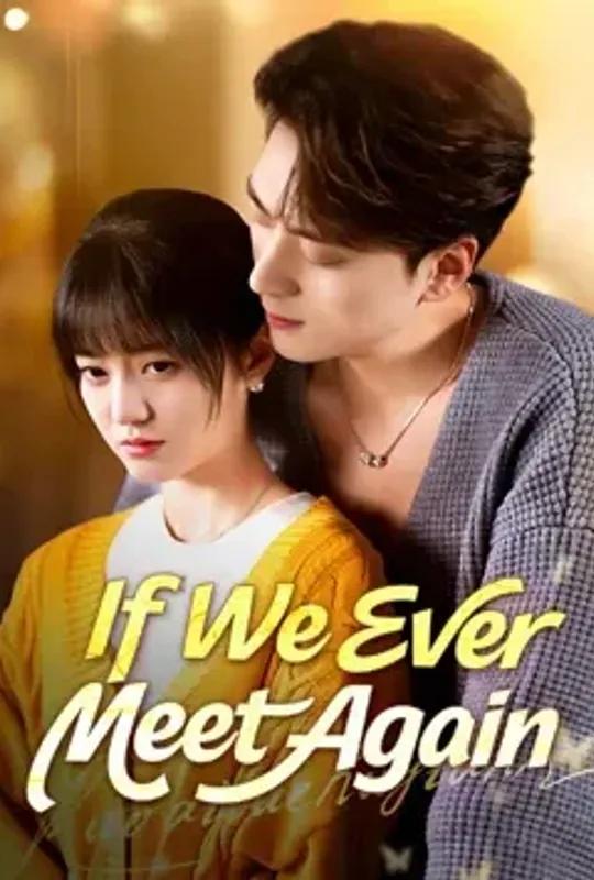 If We Ever Meet Again poster