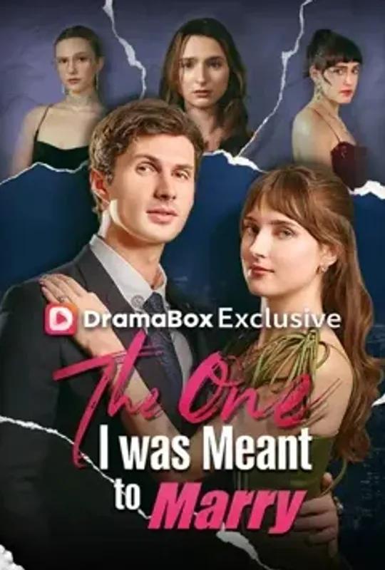 The One I was Meant to Marry poster
