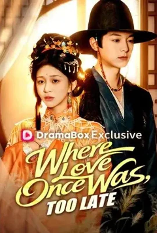 Where Love Once Was, Too Late poster