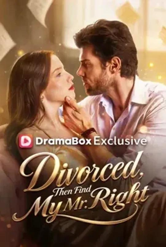 Divorced, Then Find My Mr. Right poster