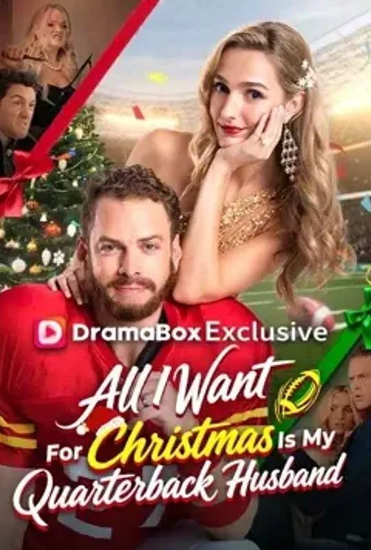 All I Want For Christmas Is My Quarterback Husband poster