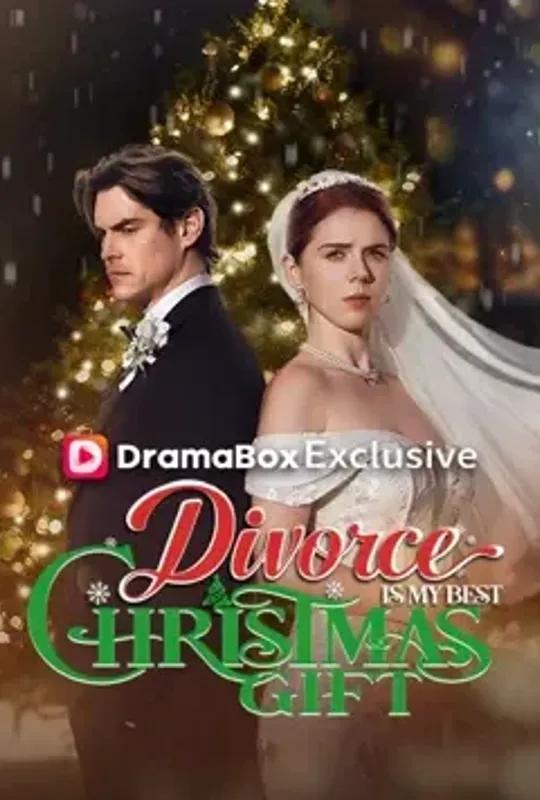 Divorce Is My Best Christmas Gift poster