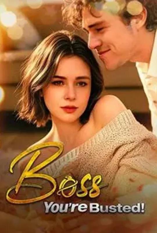 Boss, You're Busted! poster