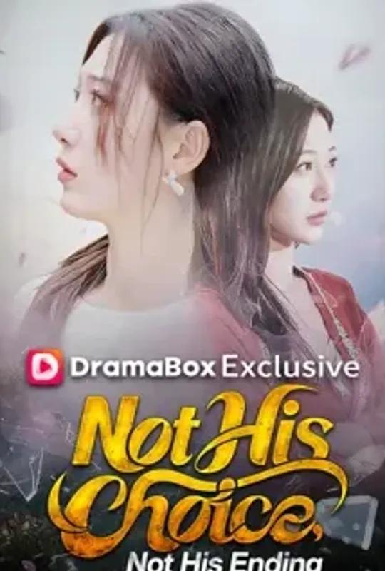 Not His Choice, Not His Ending poster
