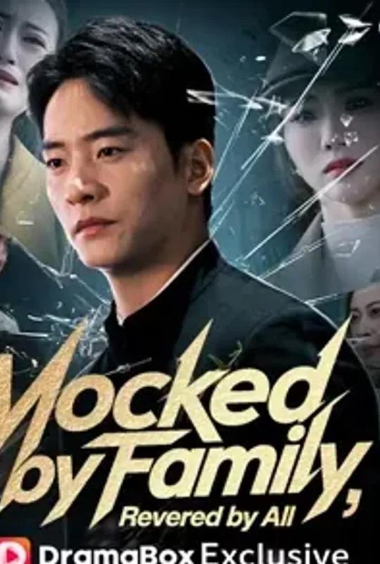 Mocked by Family, Revered by All poster