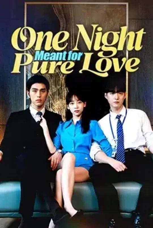 One Night Meant for Pure Love poster