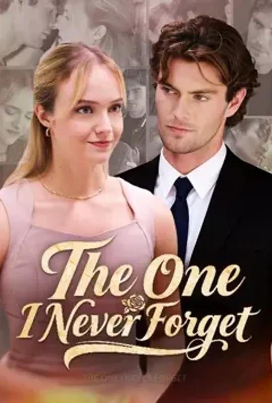 The One I Never Forget poster