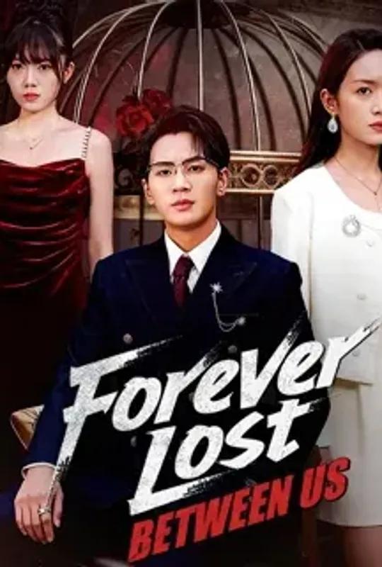 Forever Lost Between Us poster