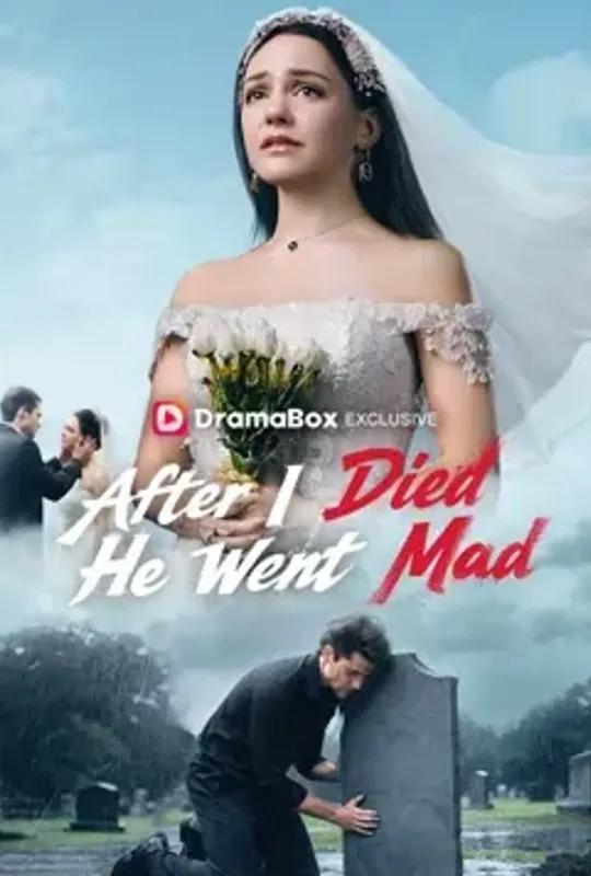 After I Died, He Went Mad poster
