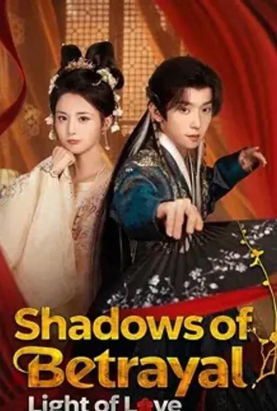 Shadows Of Betrayal, Light Of Love poster