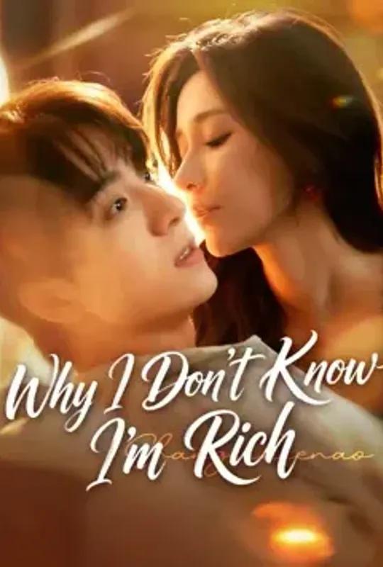 Why I Don't Know I'm Rich poster