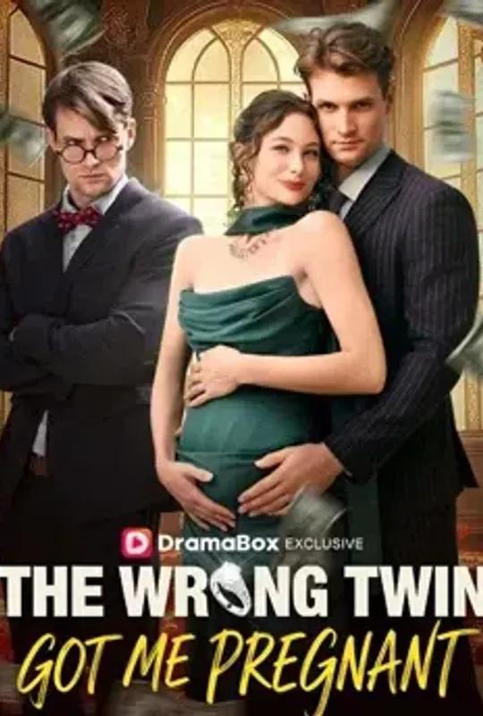 The Wrong Twin Got Me Pregnant poster