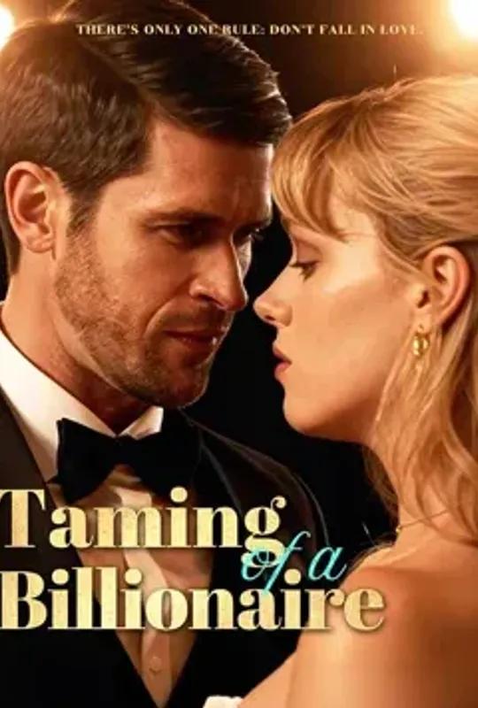 Taming Of A Billionaire poster