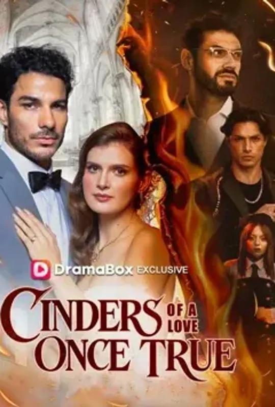 Cinders Of A Love Once True poster