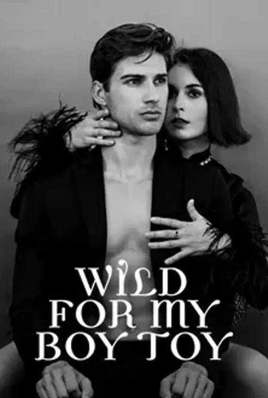 Wild For My Boy Toy poster