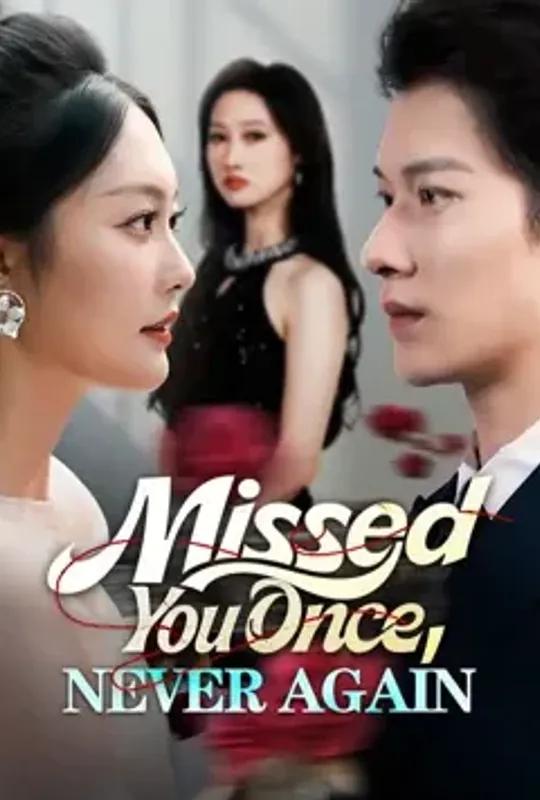 Missed You Once, Never Again poster