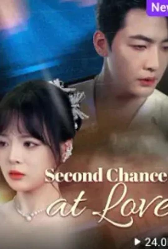 Second Chance at Love poster