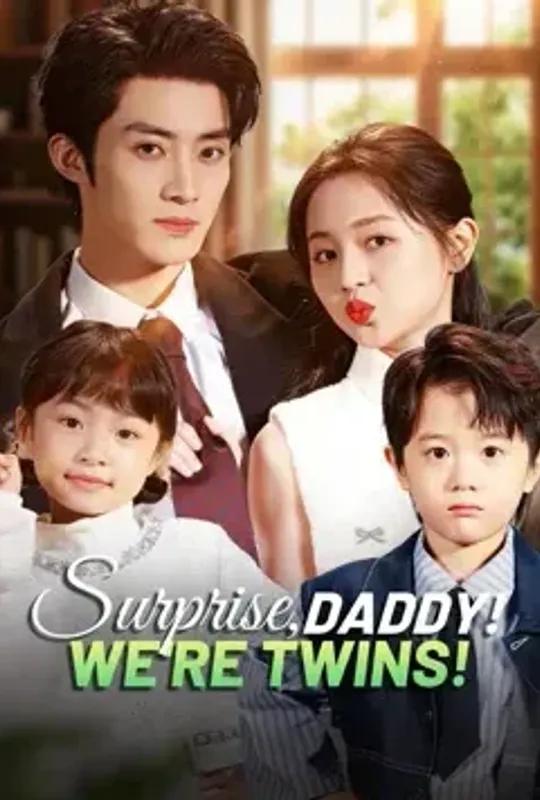 Surprise, Daddy! We're Twins! poster