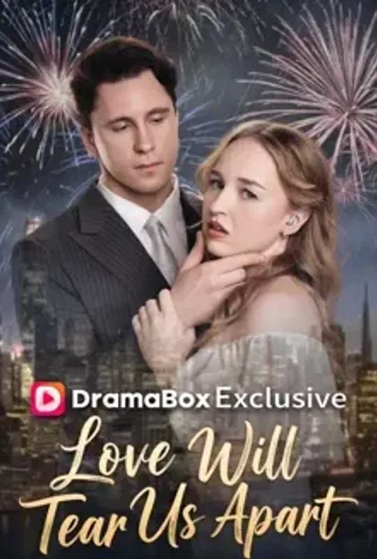Love Will Tear Us Apart poster