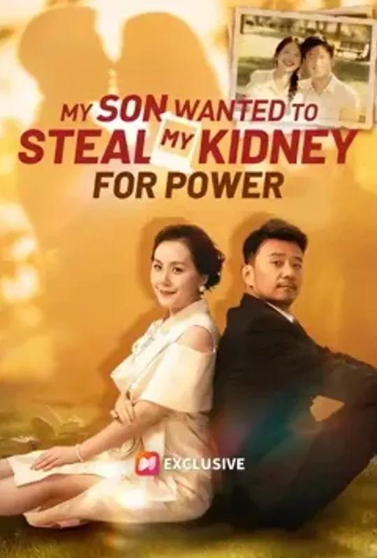 My Son Wanted to Steal My Kidney For Power poster