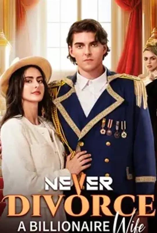 Never Divorce a Billionaire Wife poster