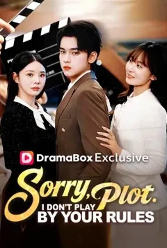Sorry, Plot. I Don't Play by Your Rules poster