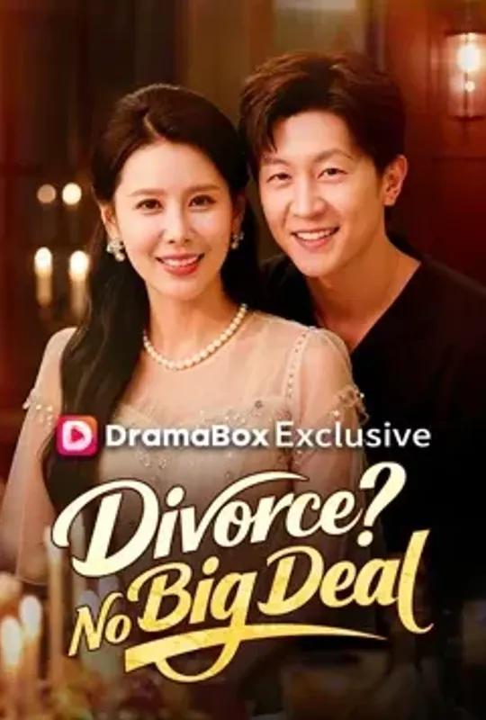Divorce No Big Deal (DUBBED) poster