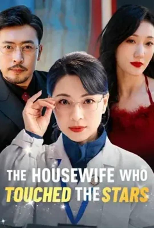 The Housewife Who Touched The Stars poster
