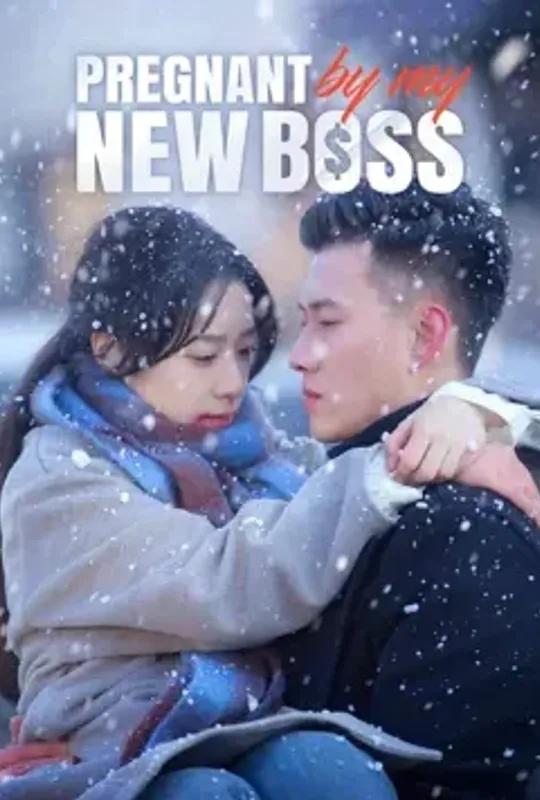 Pregnant By My New Boss poster