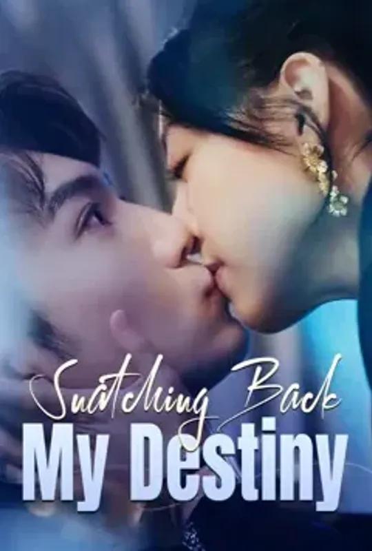 Snatching Back My Destiny poster