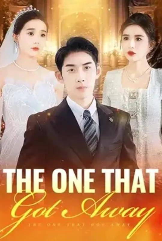 The One that Got Away poster