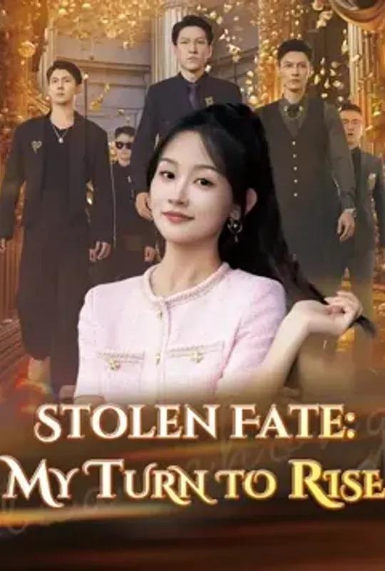 Stolen Fate - My Turn To Rise poster