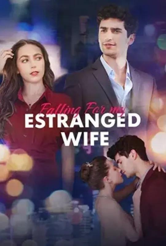 Falling For My Estranged Wife poster