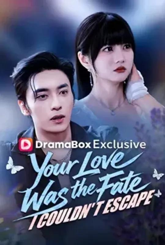 Your Love Was the Fate I Couldn't Escape poster