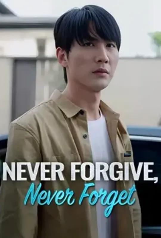 Never Forgive, Never Forget poster