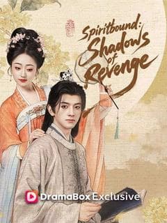 Spiritbound: Shadows of Revenge