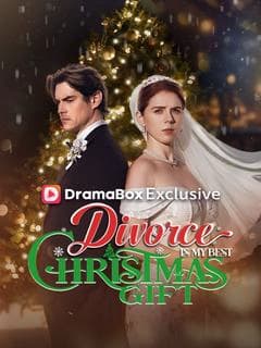 Divorce Is My Best Christmas Gift