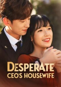 Desperate CEO’s Housewife