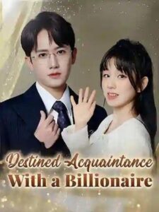 Destined Acquaintance With A Billionnaire