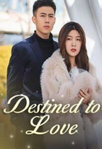 Destined to Love