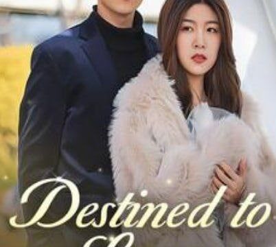 Destined to Love