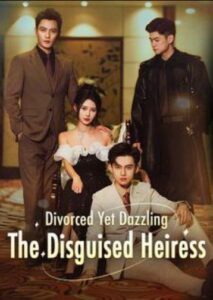 Divorced Yet Dazzling- The Disguised Heiress