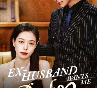 Ex-Husband Wants me Back