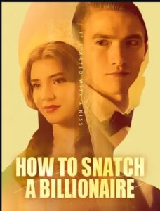 How to Snatch a Billionnaire