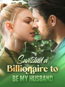 Snatched a billionaire to be my husband